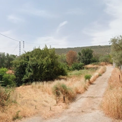 Cortijo San Julián